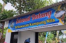SFV Kampung Nila